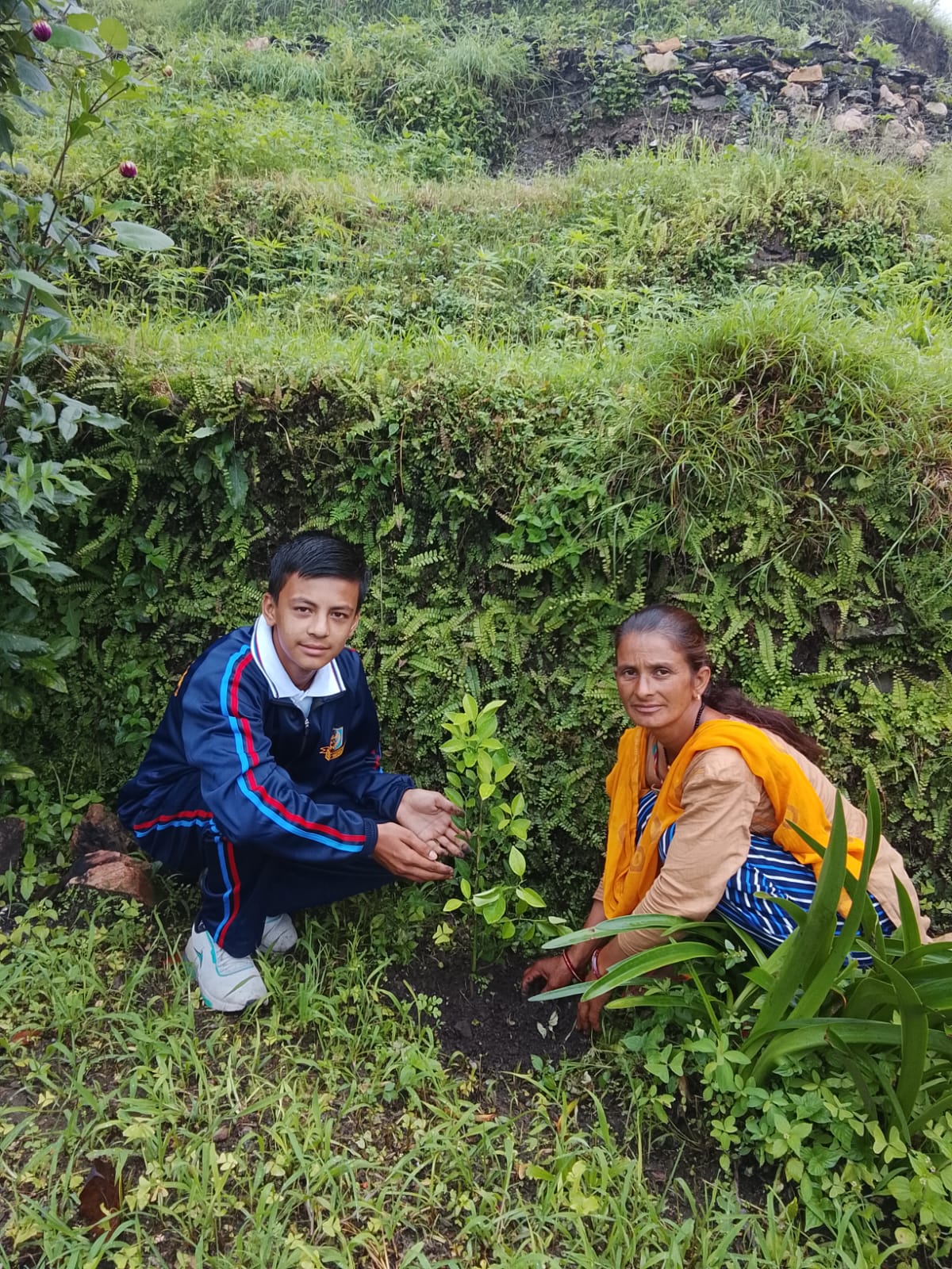 Tree Activity