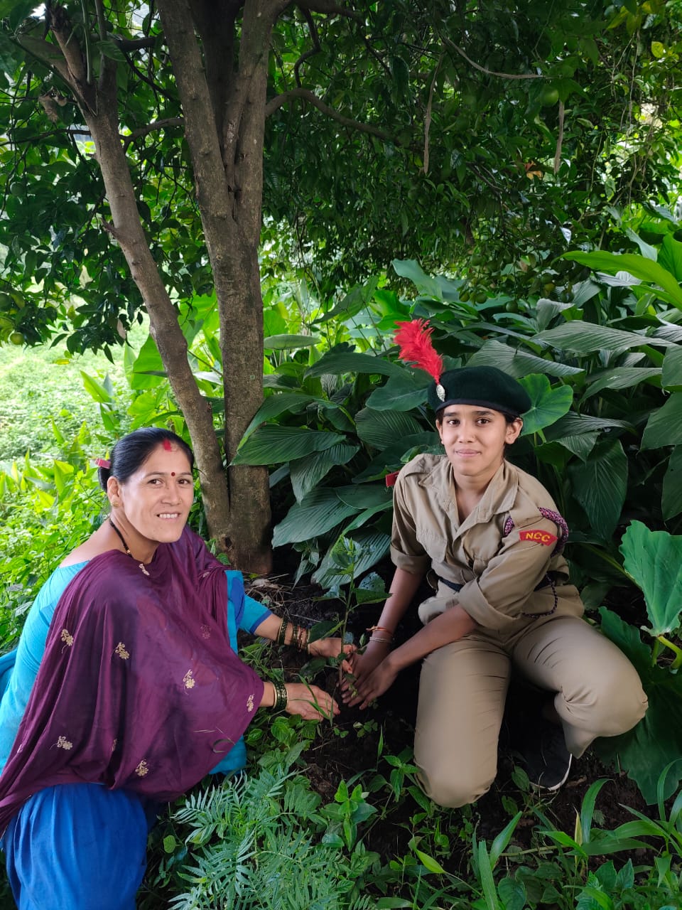 Tree Activity